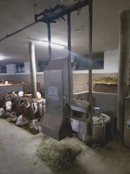 Wasserbauer Kuhmeister