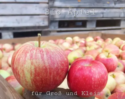 Bio Gala und Topaz
