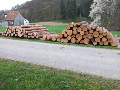 Kiefern Rundholz