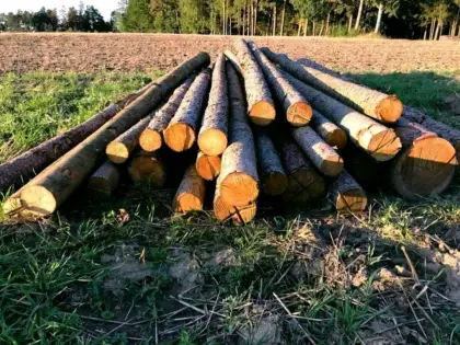 Pferdekoppelstangen 4 m und 5 m