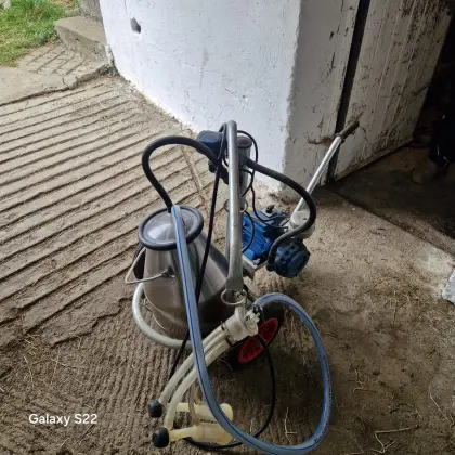 Ziegenmelkmaschine
