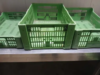 Gemüsekiste Obstkiste Kiste