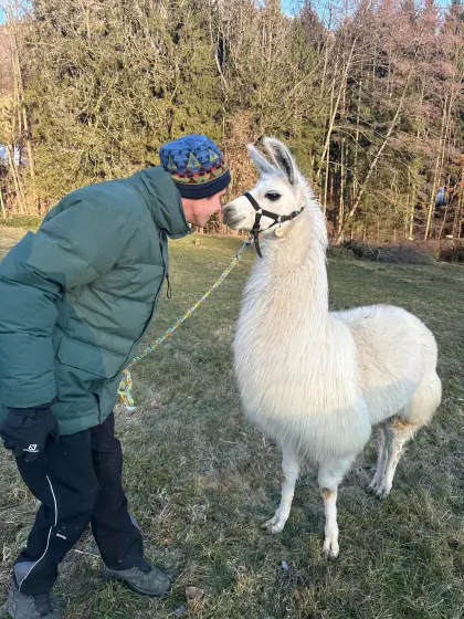 Assistierte Arbeit mit behindertem jungen Mann