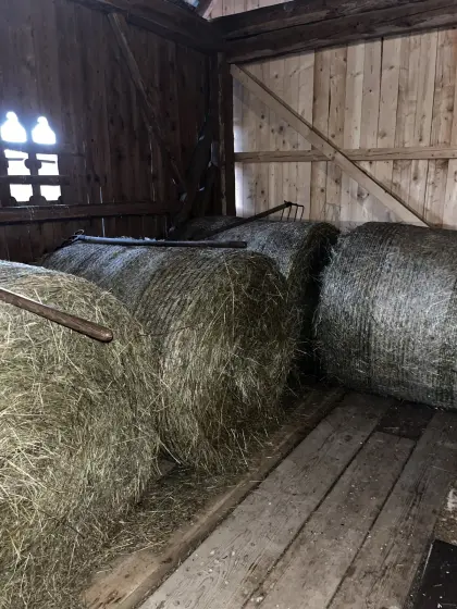 Rundballen 1. Schnitt 2025