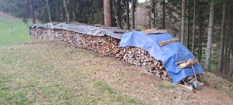 Brennholz Hartholz