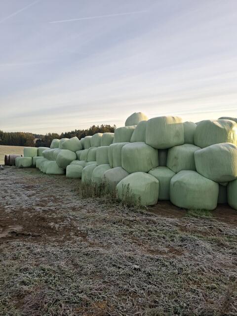 Siloballen