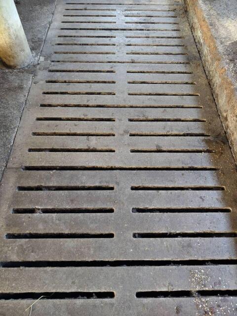 Verkaufe Betonspalten