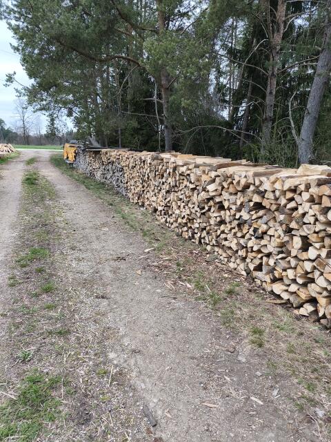 Buchen-Brennholz