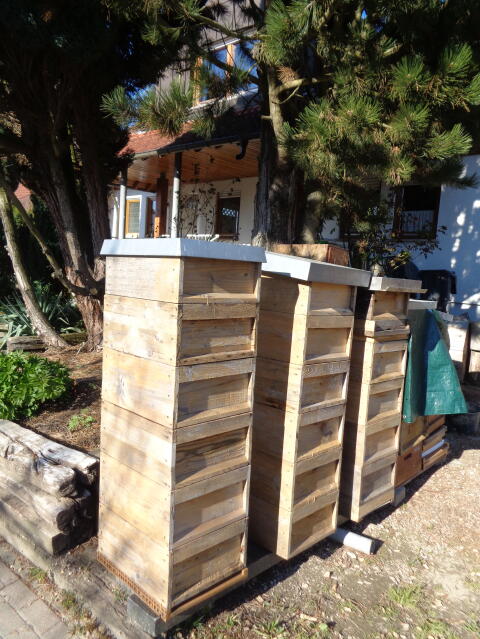 Bienenzargen