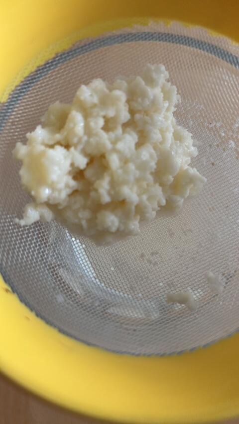 Milch Kefir