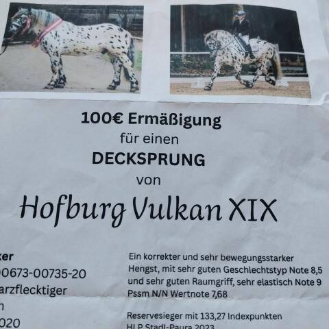 Ermäßigung Decksprung abzugeben