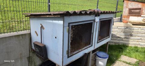 Kaninchen, Wachtelstall