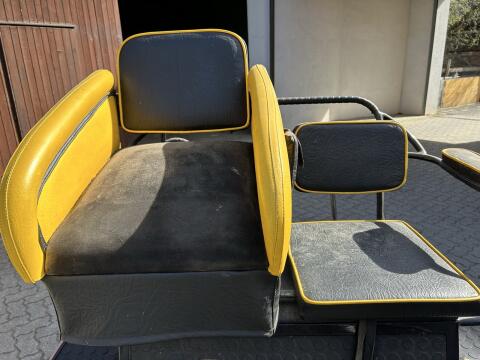 Kutsche, Marathonwagen