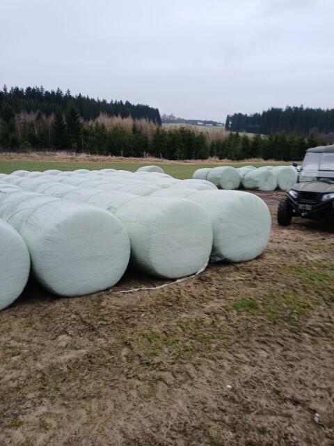 Silomaisballen