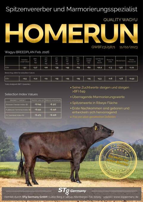 Homerun-Genetik – jetzt in Europa verfügbar!