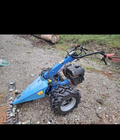 BCS 650