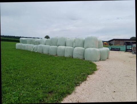 Siloballen 135 cm