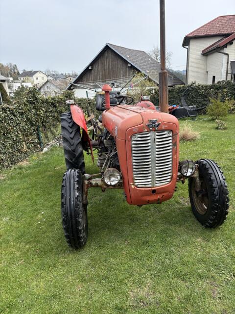 Massey Ferguson Oldtimer