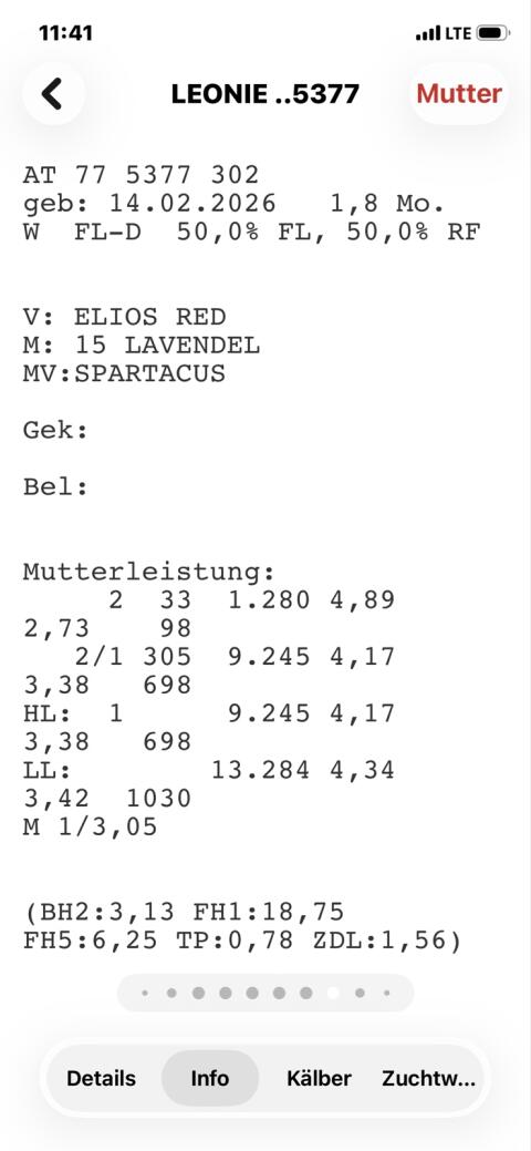 Verkaufe Zuchtkälber