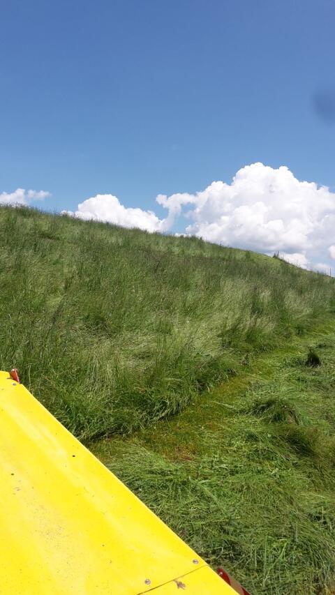 Silageballen