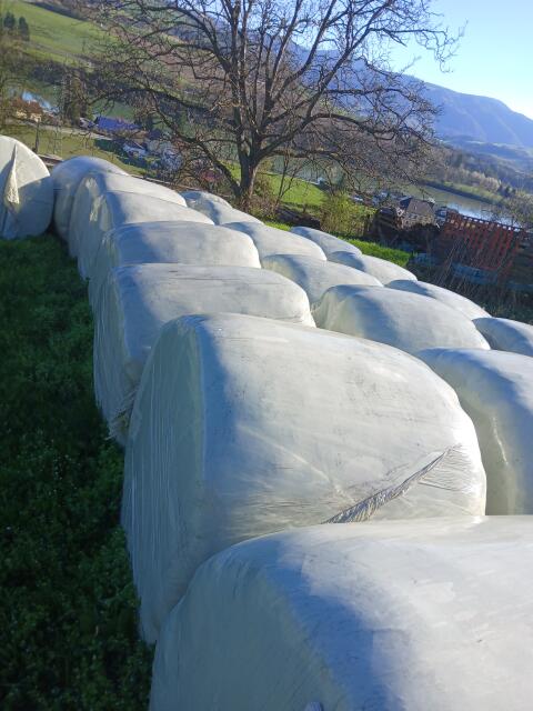 Siloballen