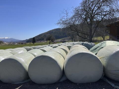 Maisballen, Ernte 2025, 1.250 kg
