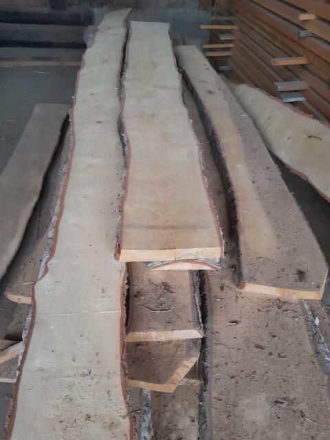 Birkenholz, Birkenbretter