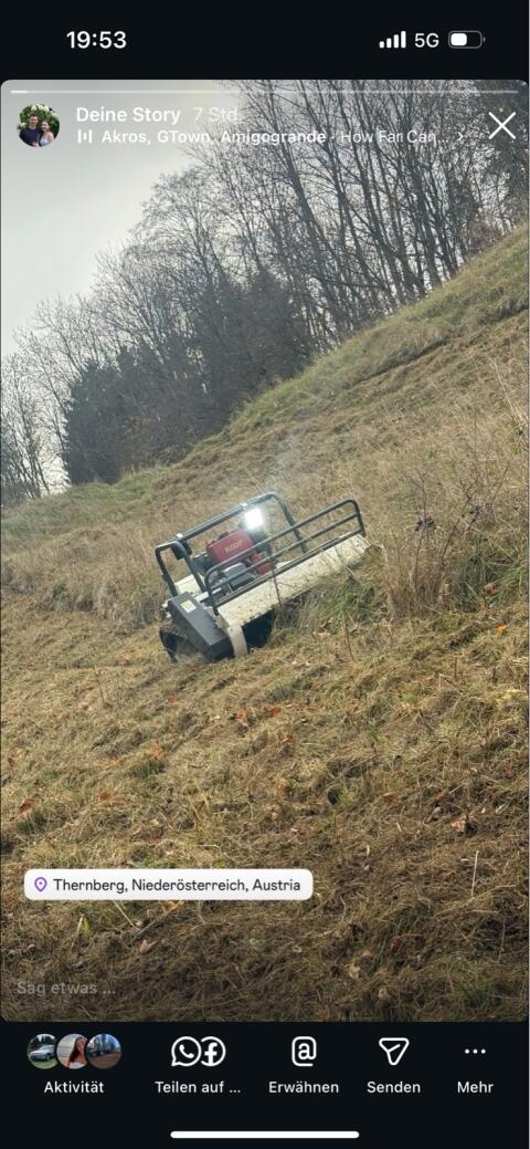 Mäh- und Mulcharbeiten mit Raupe