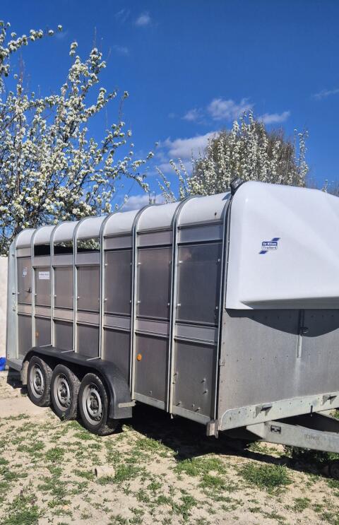Ifor Williams TA 510 Viehtransporter 3,5 t