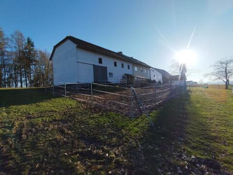 Pferdeeinstellplatz