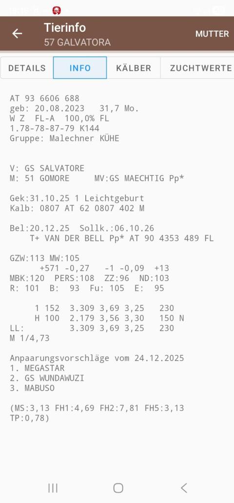 Fleckviehkühe