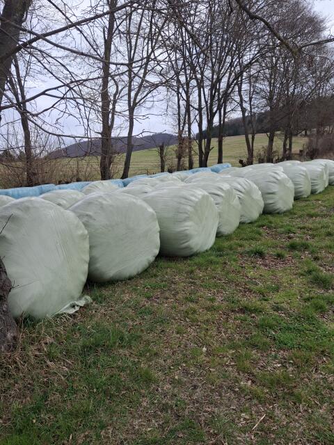 Siloballen
