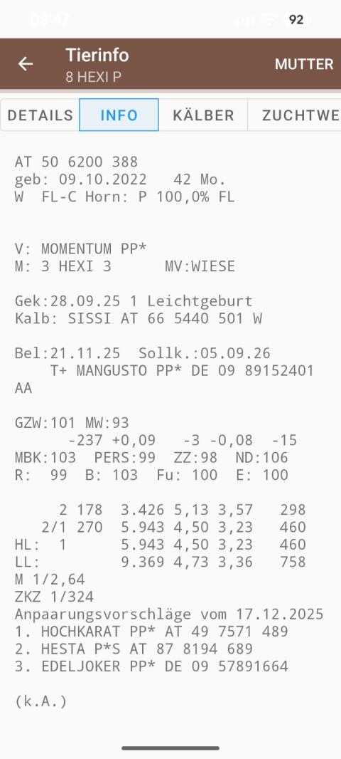 Bio Kuh (eher für Mutterkuhhaltung) trächtig