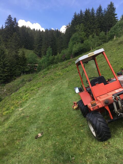 Mähtrac 2003