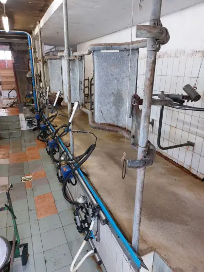 4x FG Melkstand, Wachautomat