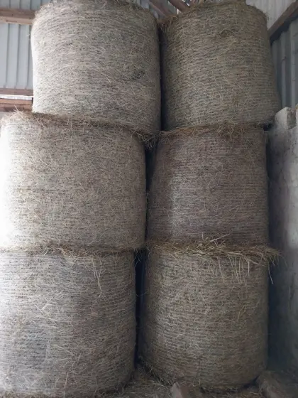 Bio Heu Biodiversitätsfläche