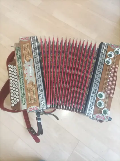 Steirische Harmonika Kärntnerland