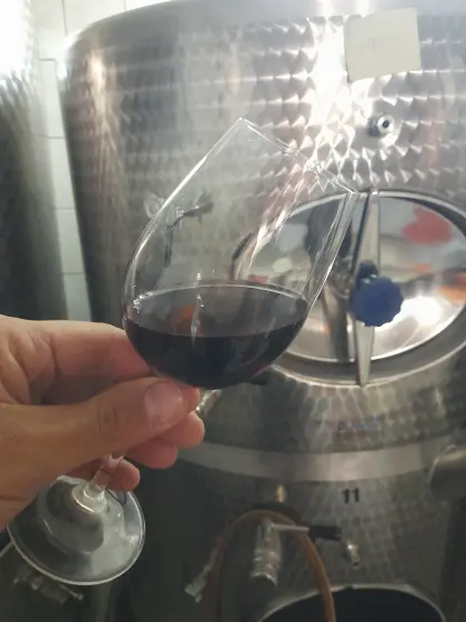 Fasswein Zweigelt 2025