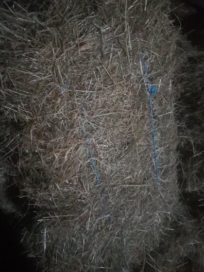 Viereckige Heuballen