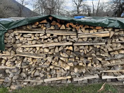 Eschenholz € 110,-