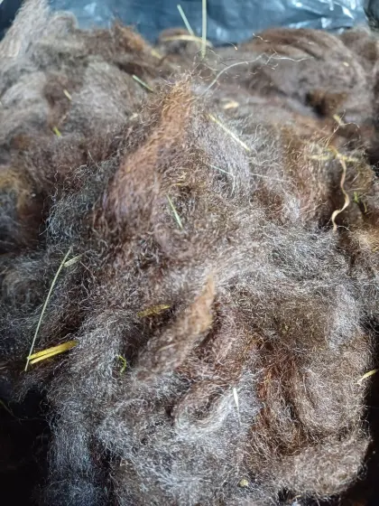 Schafwolle