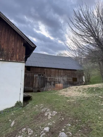 Altholz von Stadelabbruch