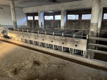 Kälberaufstallung Stockinger