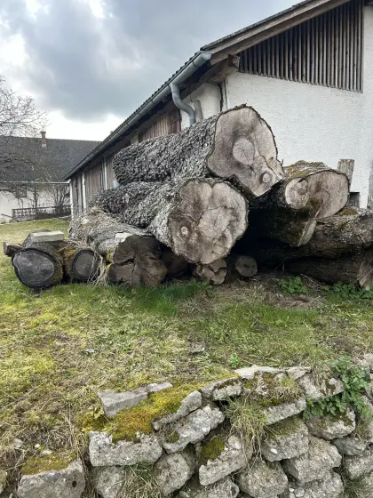 Birnenholz zu verkaufen