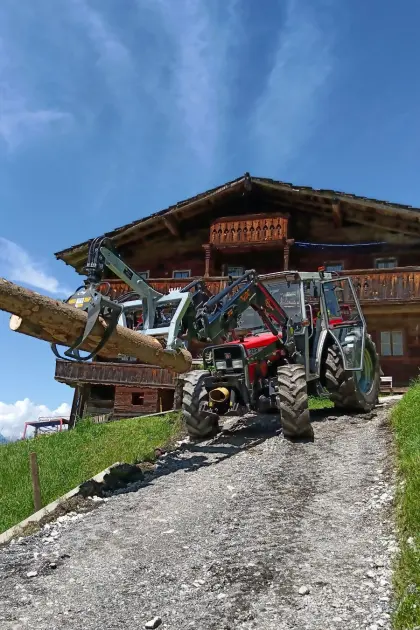 Holzschlägerung, Spezialbaumfällung