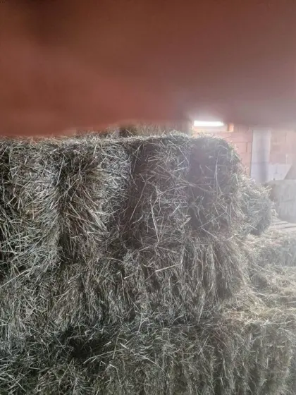 Kleine Heu-Quaderballen