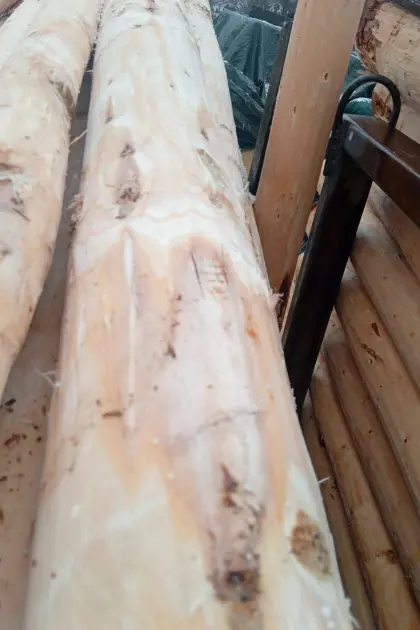 Verkaufe Holzpfähle, Pfähle, Holzpfosten, Pfosten, Stickel