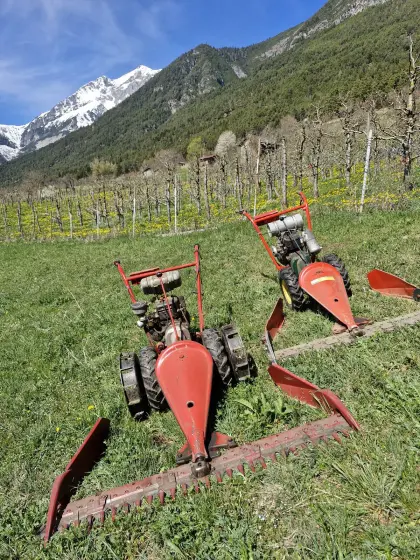 Reform 158 Motormäher