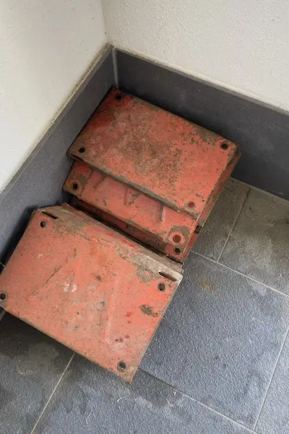 Wiesenegge Wölfleder