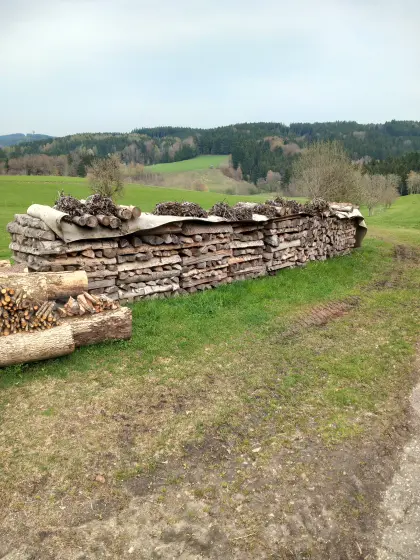 Brennholz